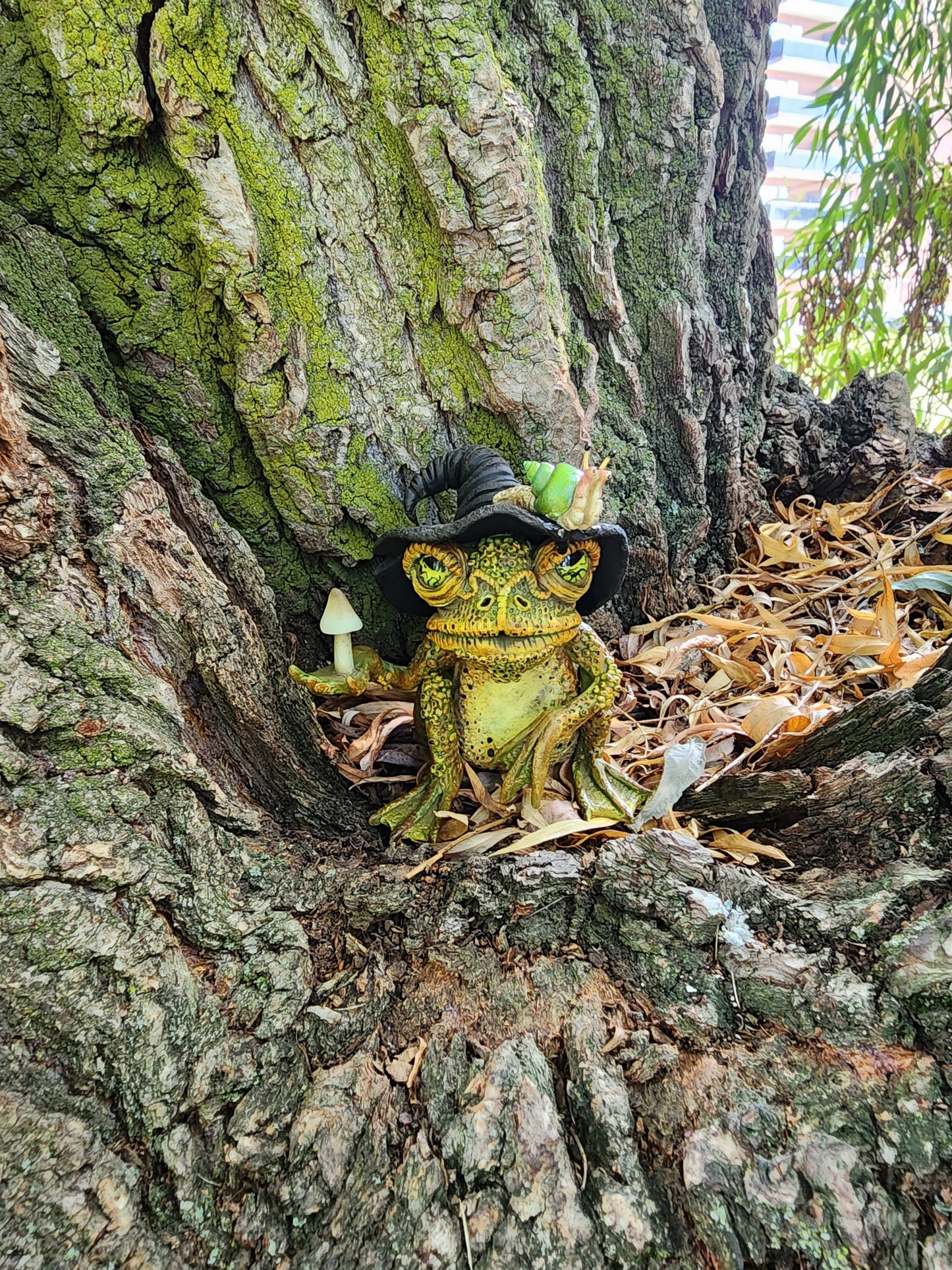Wizard Toad glowing moss terrarium