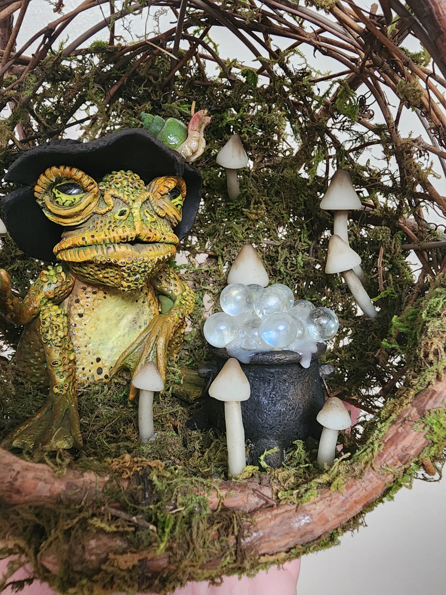 Wizard Toad glowing moss terrarium