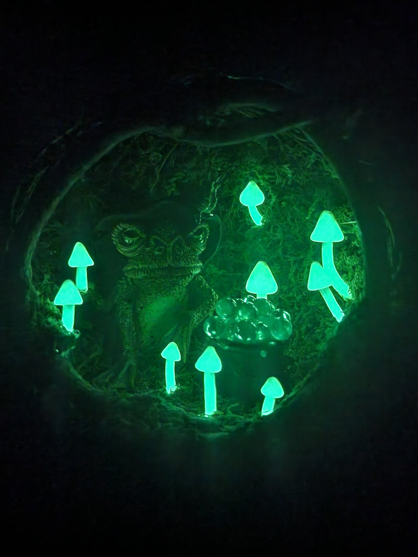 Wizard Toad glowing moss terrarium