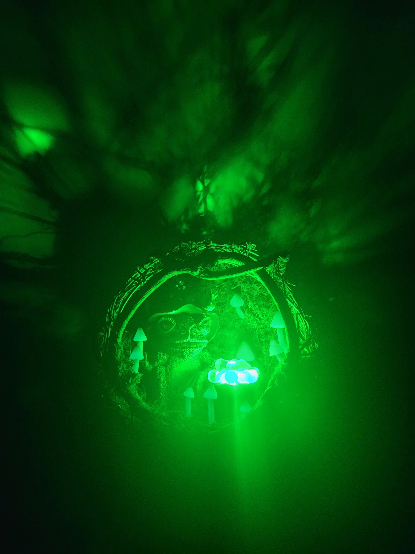 Wizard Toad glowing moss terrarium