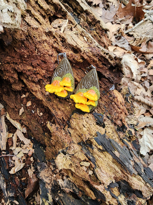 Chicken of the woods earrings