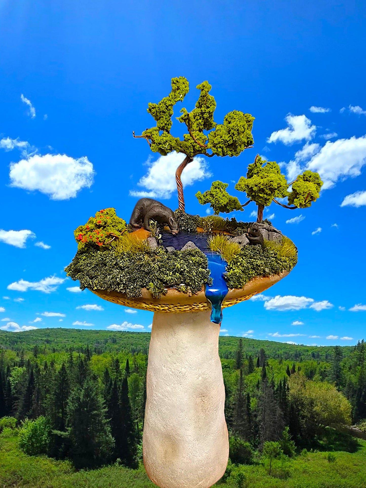 Nature oasis mushroom