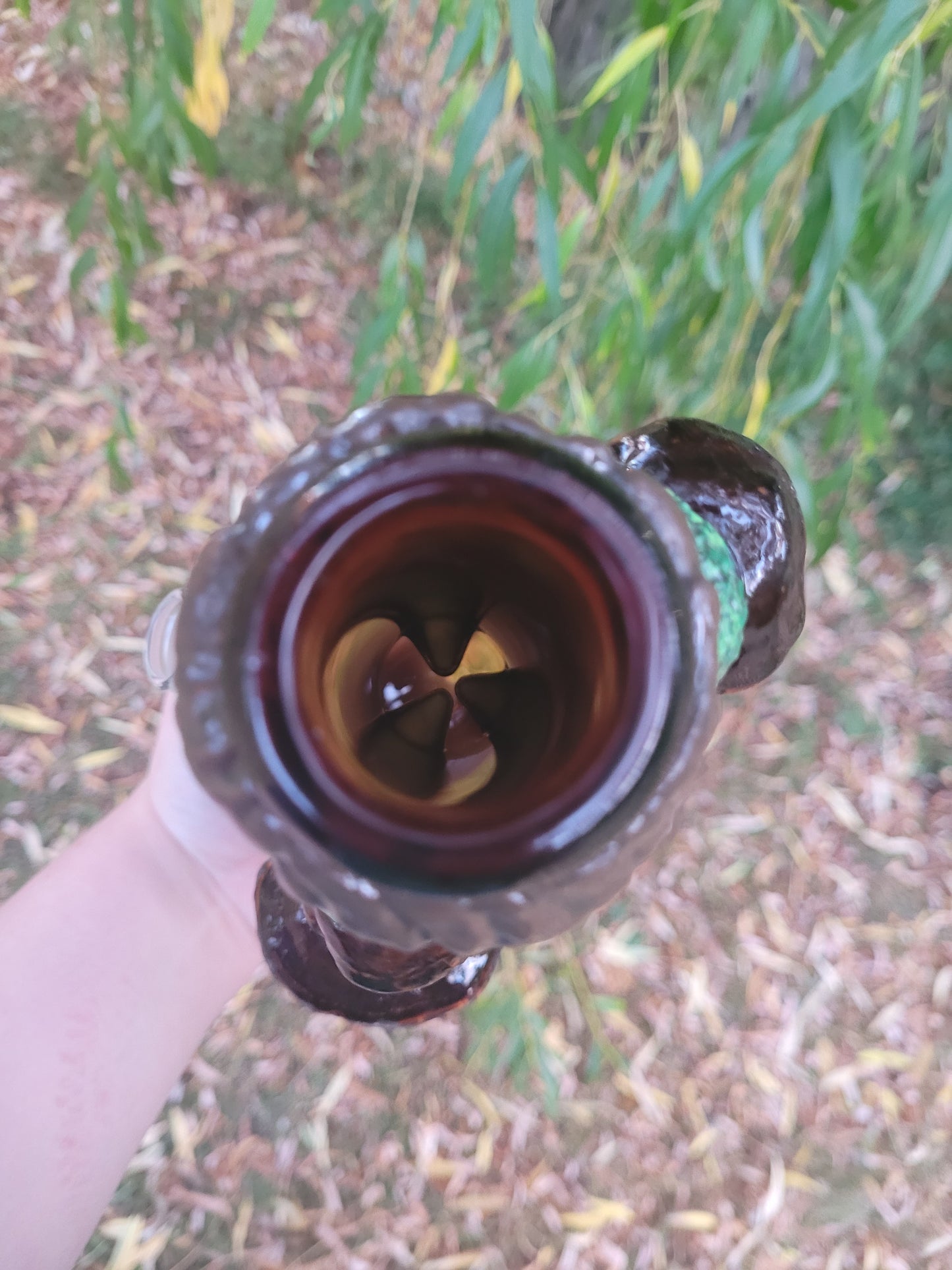 The Wise Old Wizard Tree