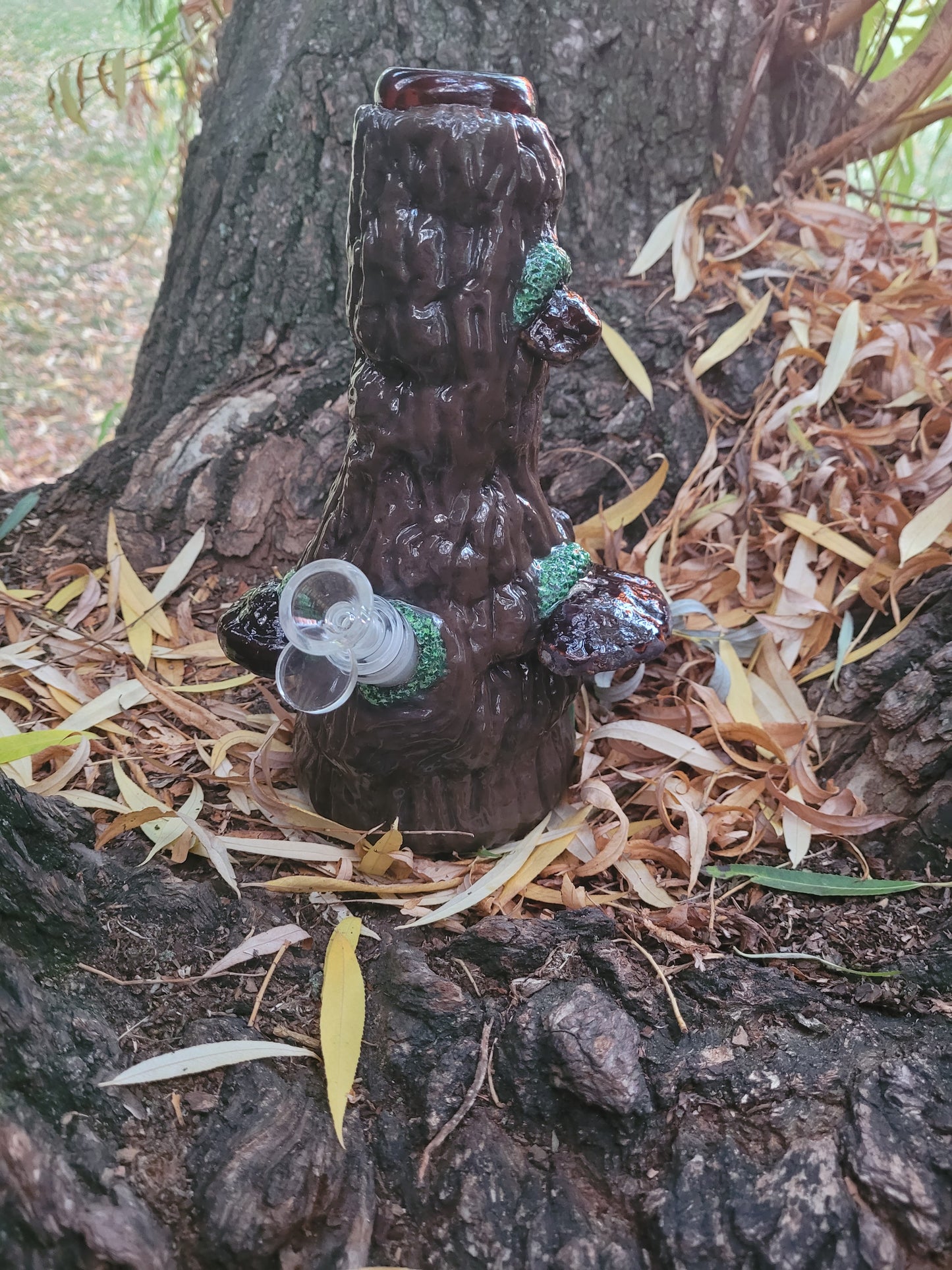 The Wise Old Wizard Tree