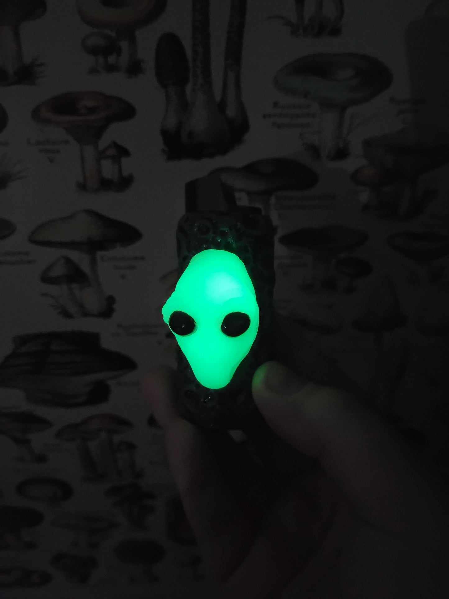Glow in the dark alien lighter case