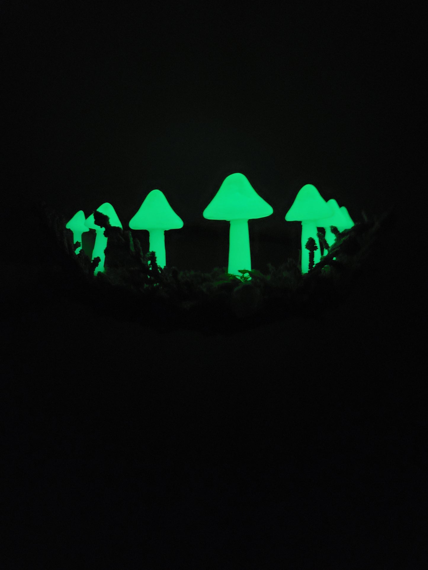 Fairy queen crown with glowing opal mushrooms