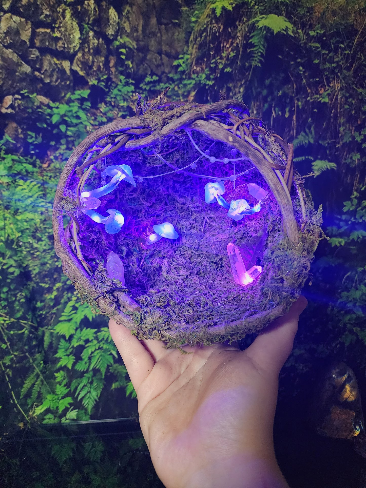 Bumble Fae Glowing Mushie Terrarium