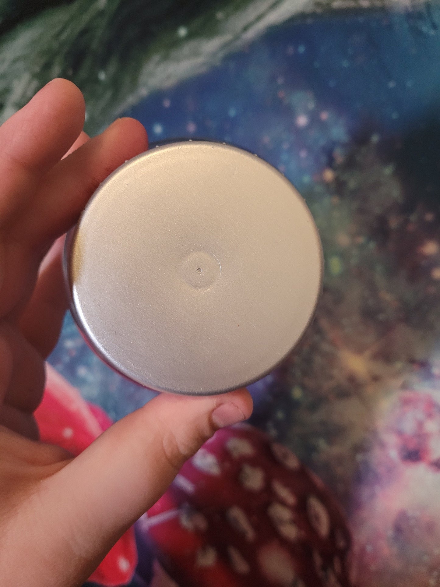 Real dried mushroom terrarium indigo milk cap specimen mushroom globe