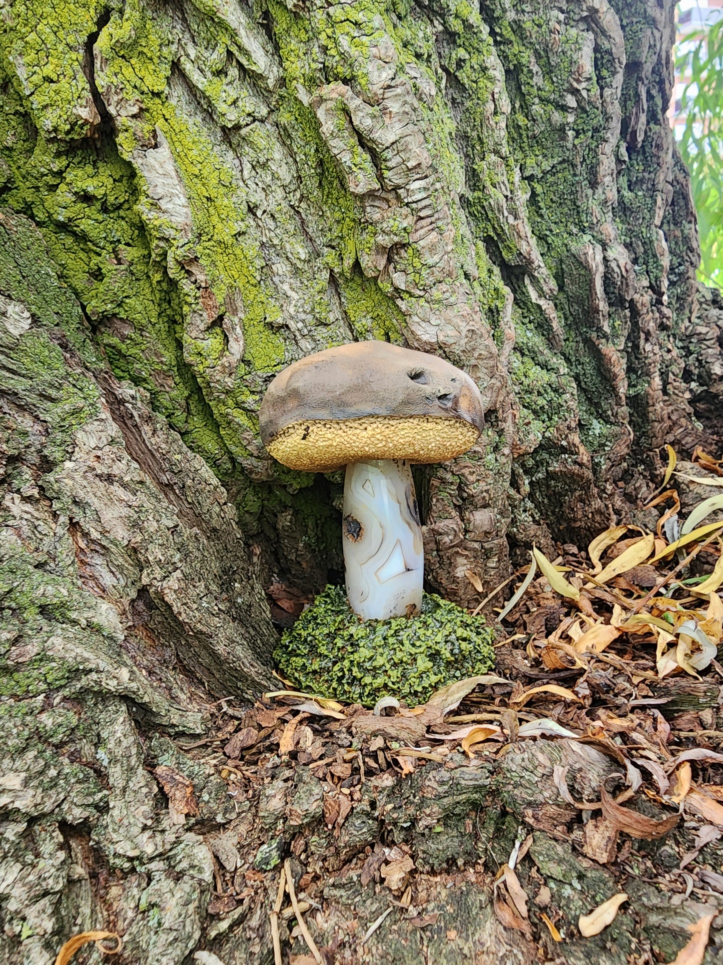 Dendritic Agate Bolete Crystal Mushroom