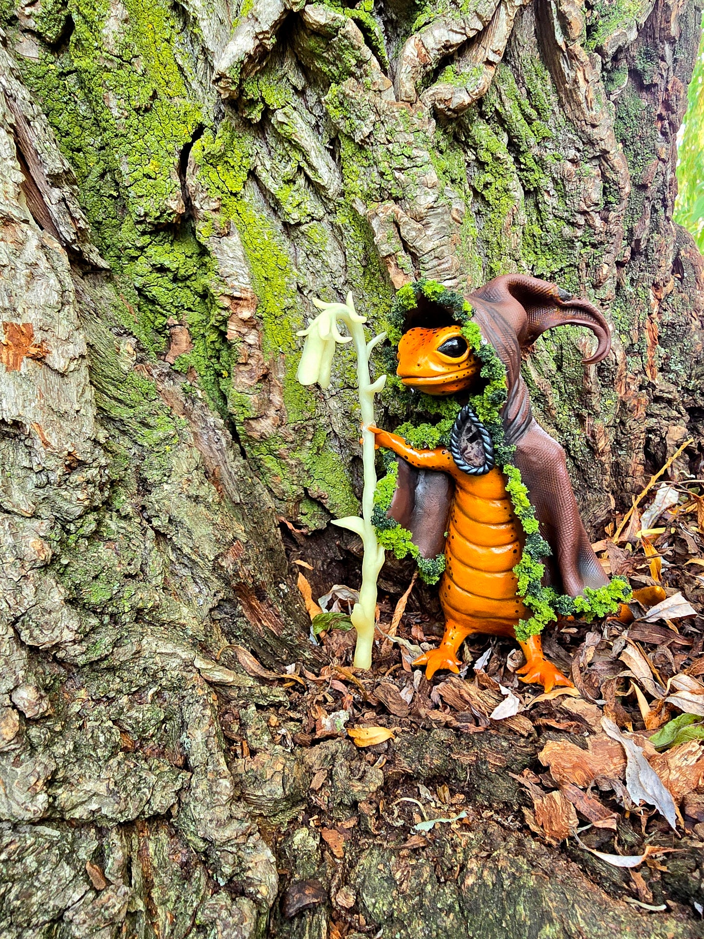 The guardian of the ghost pipe
