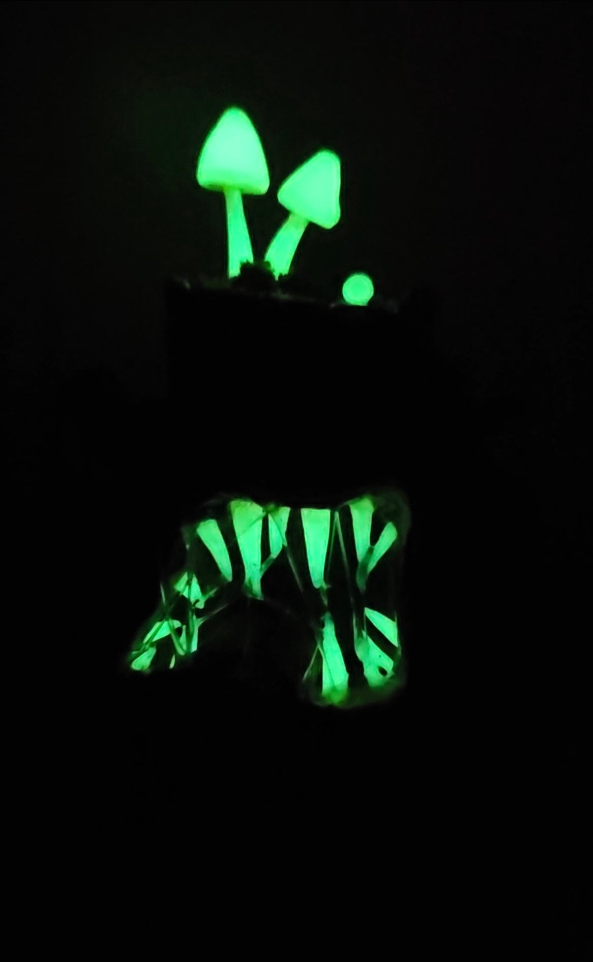 Spooky stump mimic