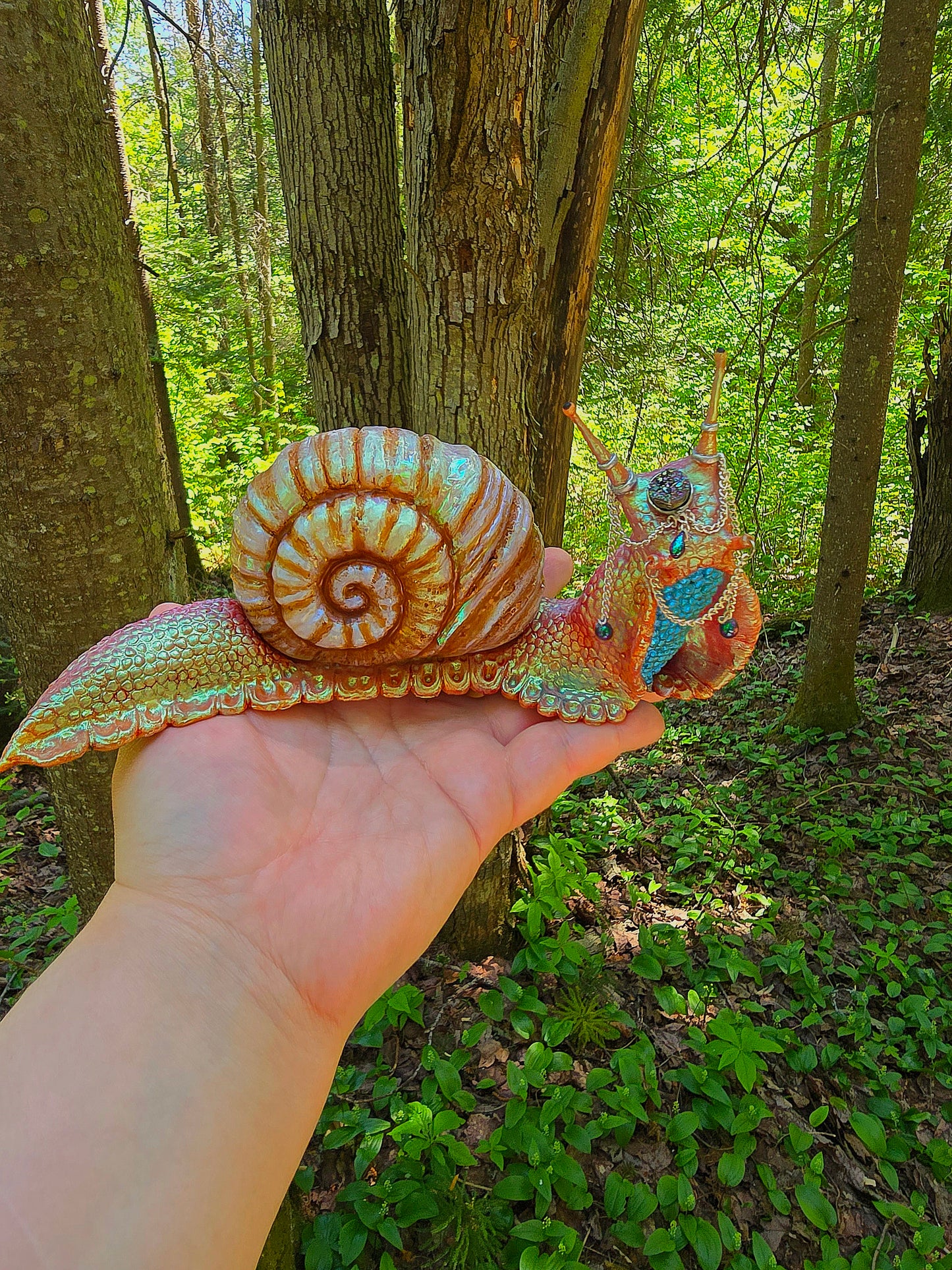 The Moon Garden Snail