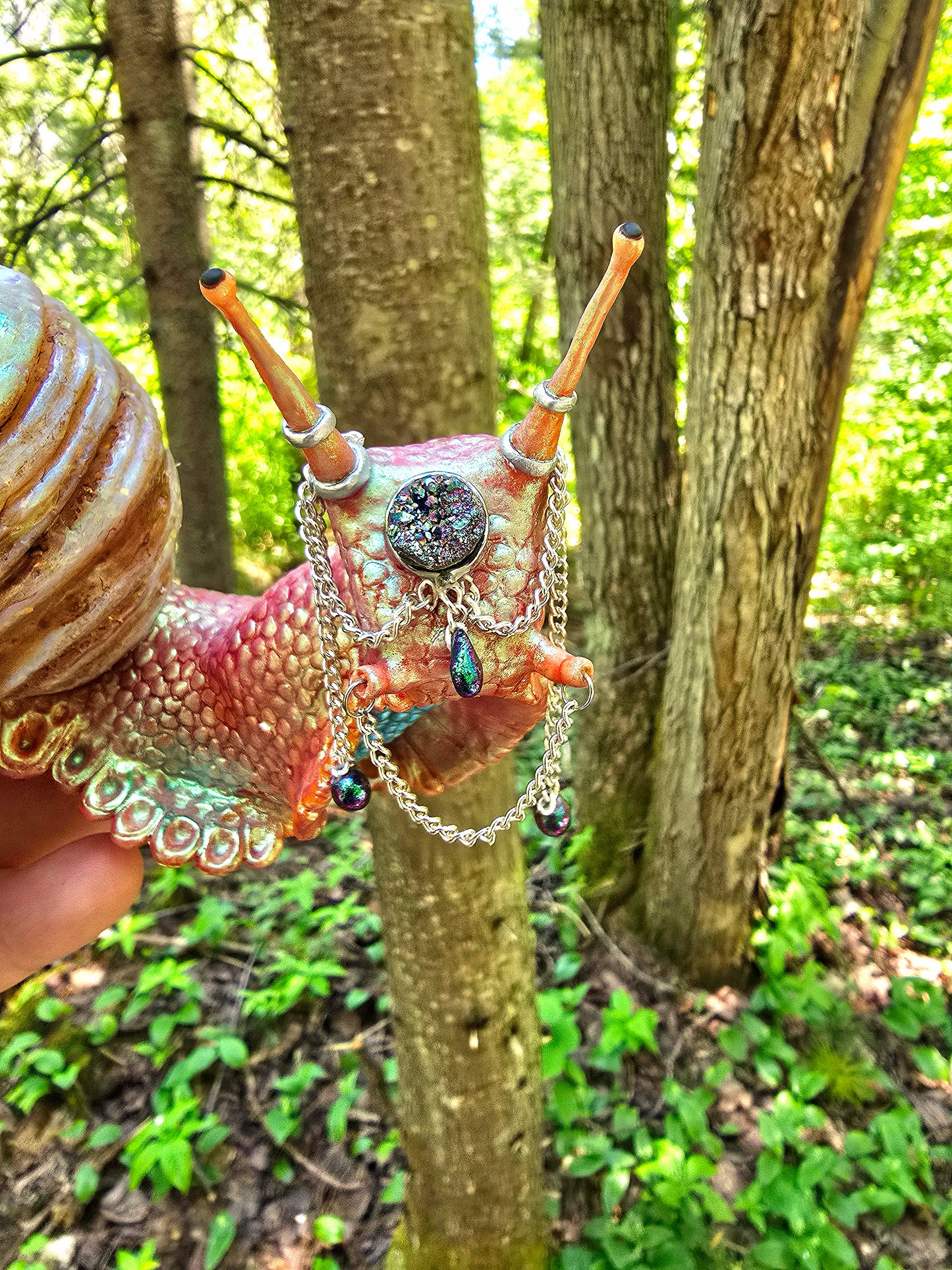 The Moon Garden Snail
